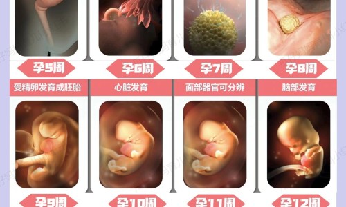 15个月身高体重标准值-权威女宝15个月身高体重平台,分享专业15个月身高体重标准值知识_15个月身高体重网